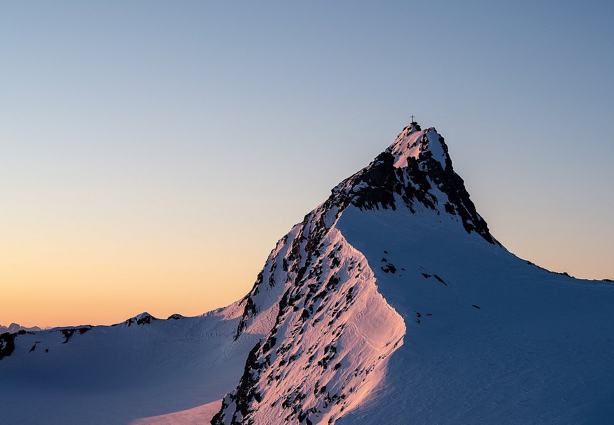 Hochwilde in Morgenlicht