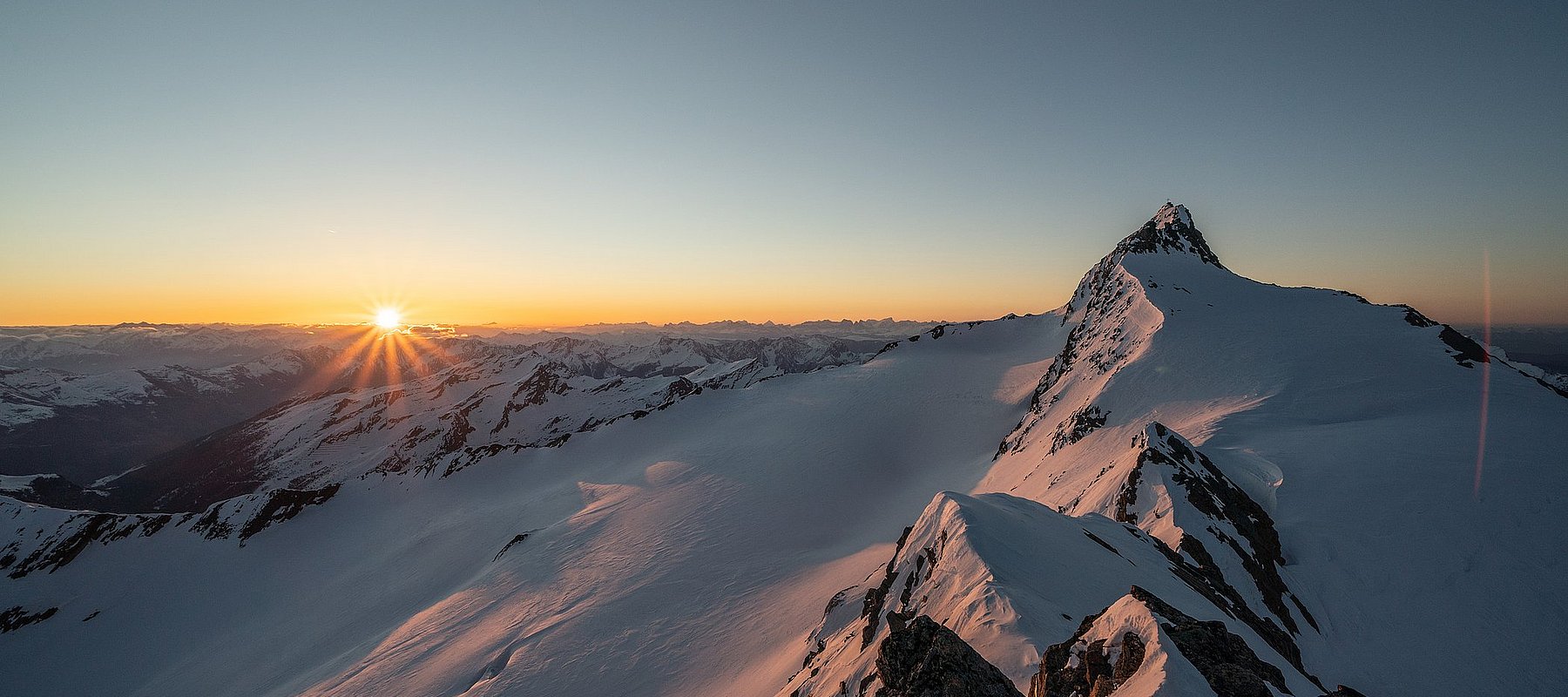 Die Hochwilde in der Morgendämmerung